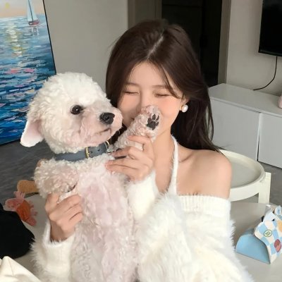 不只但总是 封面